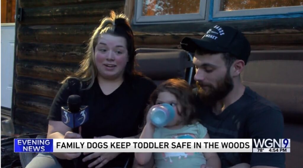 Toddler lost in Michigan woods found asleep using family dog as a pillow