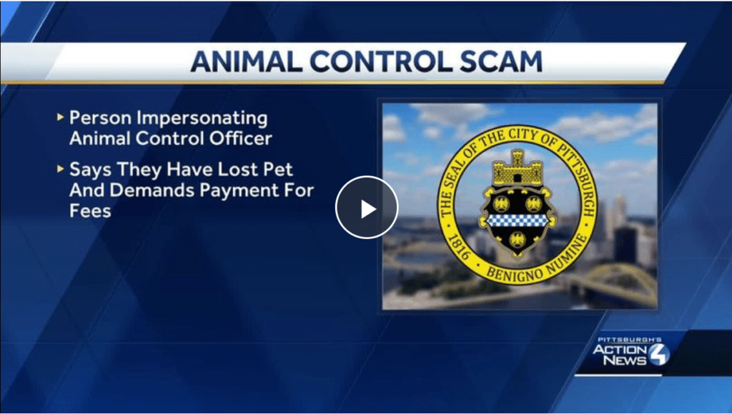 Pittsburgh Public Safety issues warning over lost pet scam