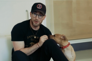 National Dog Day: Watch Chris Evans play with the cutest rescue pups