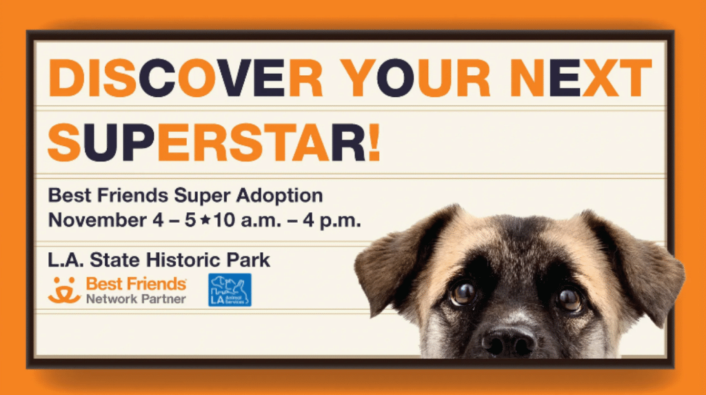 Best Friends Super Adoption Weekend