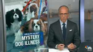 Mysterious respiratory illness spreads to dogs across U.S.
