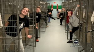 Animal shelter finds homes for pets on Thanksgiving