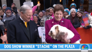 2023 National Dog Show Winner, Stache the Sealyham Terrier, visits NBC’s Today Show