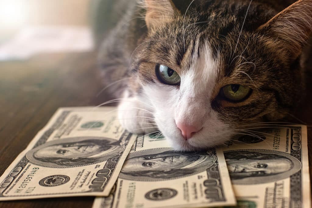 Pet spending passes 0B, outpacing women’s clothing, booze, and books