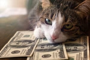 Pet spending passes $100B, outpacing women’s clothing, booze, and books