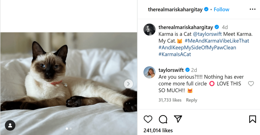 Taylor Swift responds to Mariska Hargitay naming her new cat “Karma”