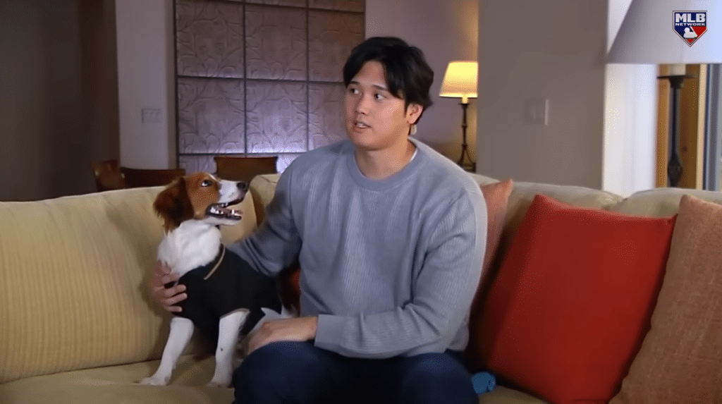 Shohei Ohtani reacts to winning 2nd MVP Award accompanied by canine companion