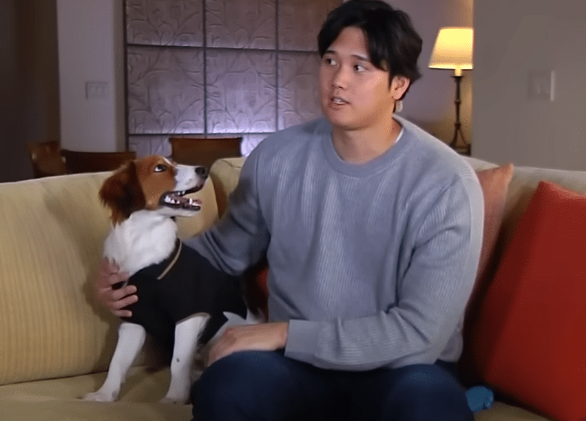 Shohei Ohtani’s Canine Companion Has Fans Barking Rumors