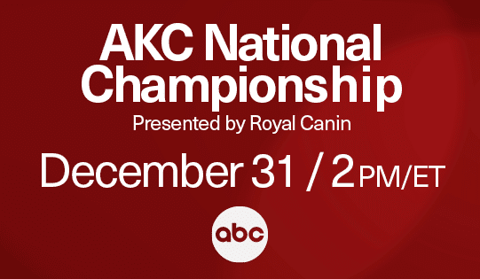 AKC 2023 National Champion Dog Show Presented by Royal Canin Coming to ABC December 31st