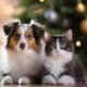 Avoid a Christmas Catastrophe: Protect Your Pets from Poisonous Plant Perils