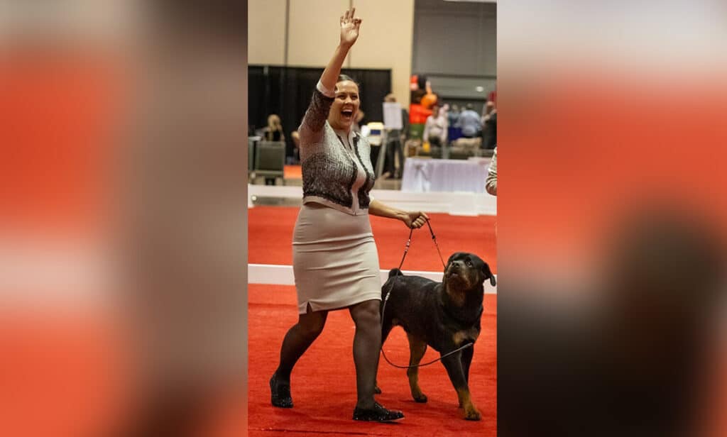 Granger the Rottweiler Named AKC® Royal Canin National All-Breed Puppy/Junior of the Year