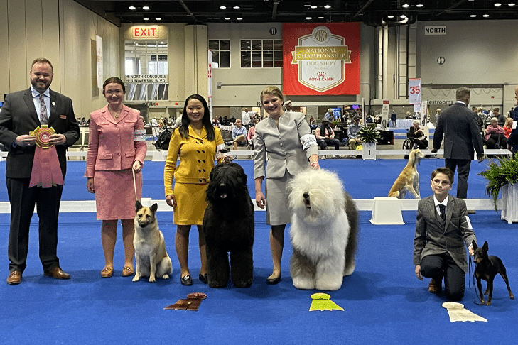 AKC Junior Showmanship Finalists