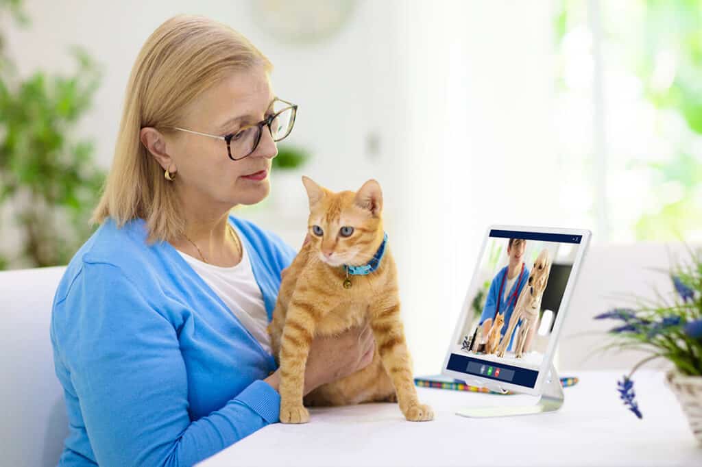 California Expands Access to Veterinary Telemedicine