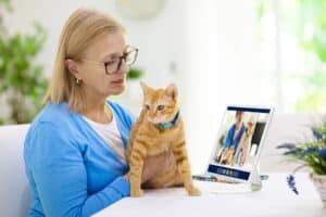 California Expands Access to Veterinary Telemedicine