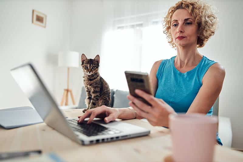 Veterinarian telehealth firm Vetster named to Fast Company’s List of the Next Big Things in Tech