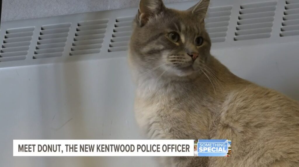 Officer Donut, the cat who found a job at the Kentwood Police Department, retiring to new forever home