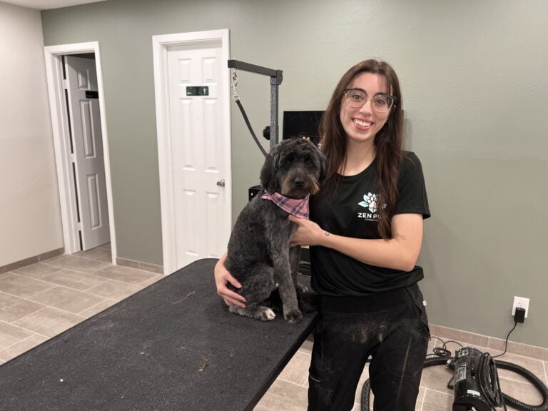 311690969 117955637738140 8949324405666753402 n 1 768x576