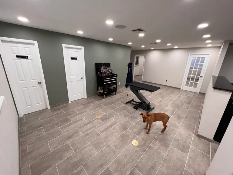 IMG 1766 HEIC 1 768x576