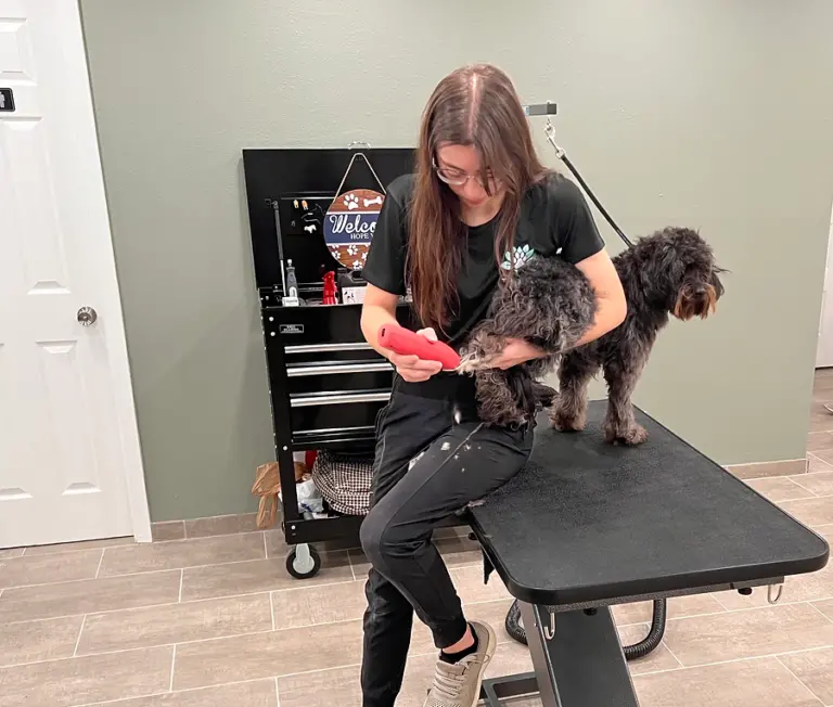 IMG 1843 heic 1 768x652