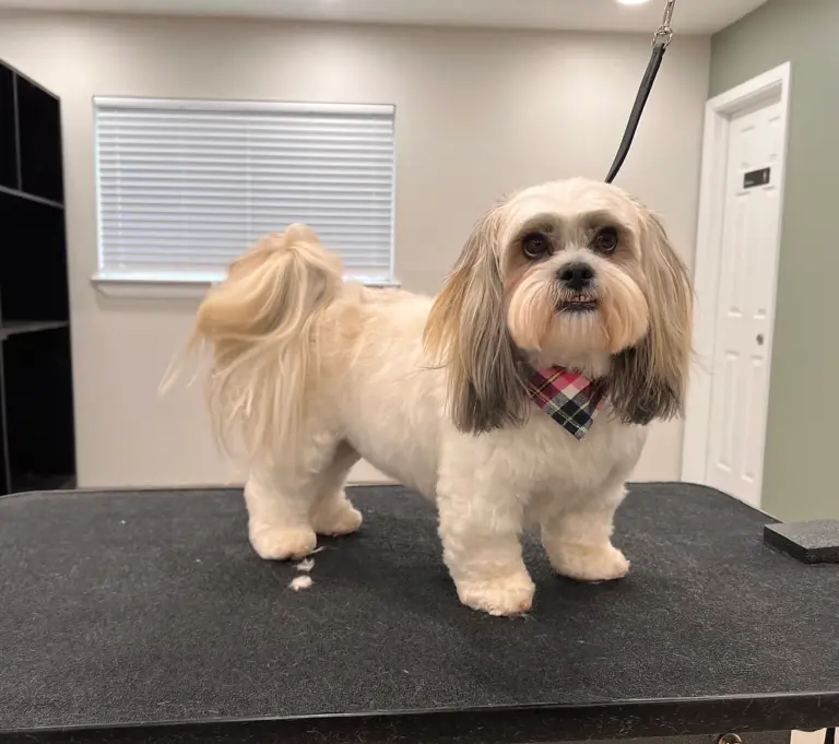 IMG 3982 heic 1 768x681