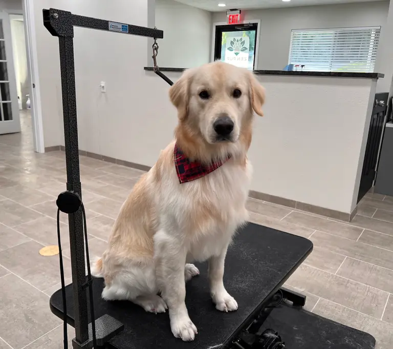 IMG 5632 HEIC 1 768x681