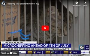 Preparing your pets for Fourth of July