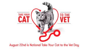 The “Pre-Vet Scaries” Are Real – These Tips Can Help on National Take Your Cat to the Vet Day