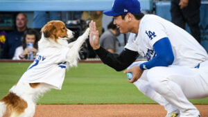 Ohtani’s Dog Steals the Show “Throwing” First Pitch at Dodgers Game