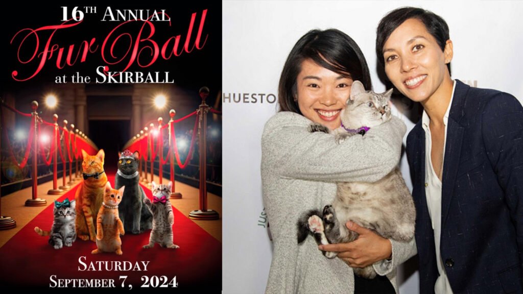 Kitten Rescue’s 16th Annual Fur Ball Gala: A Purr-fect Night of Glamour and Compassion