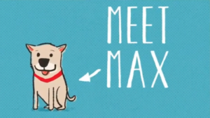 National Check the Chip Day: Meet Max