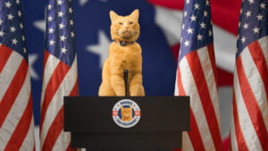 Morris the Cat Throws His Collar into 2024 Presidential Race and Seeks Running Mate