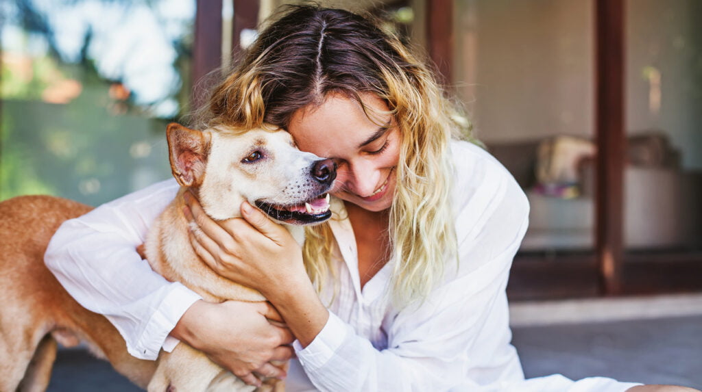 National Dog Day 2024: Celebrating Man’s Best Friend for 20th Year on August 26th