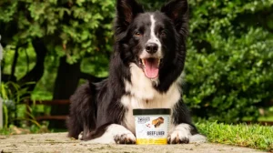 Zora Tabin of Wild Zora’s Introduces Zora’s Best Friendz Human Grade, Single Ingredient Dog Treats