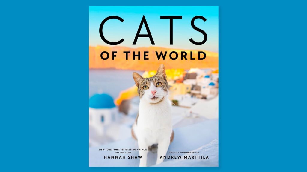 Kitten Lady Hannah Shaw and Andrew Marttila’s CATS OF THE WORLD