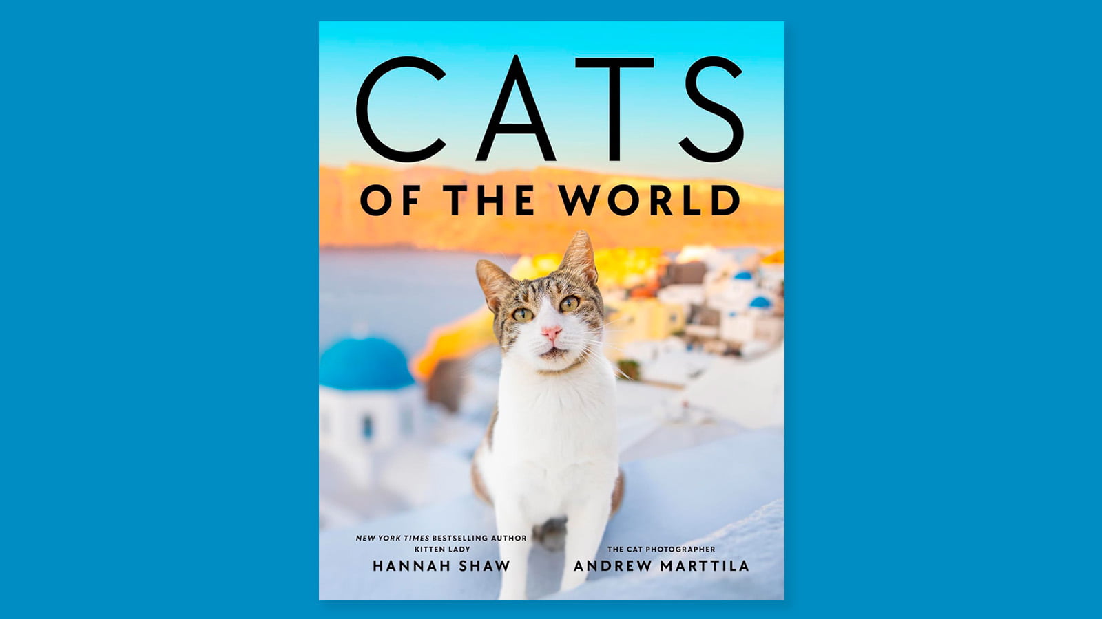 cats of the world book cover