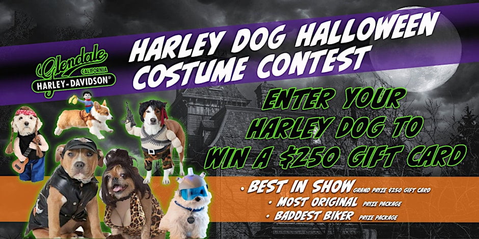 Glendale Harley Dog Costume Contest