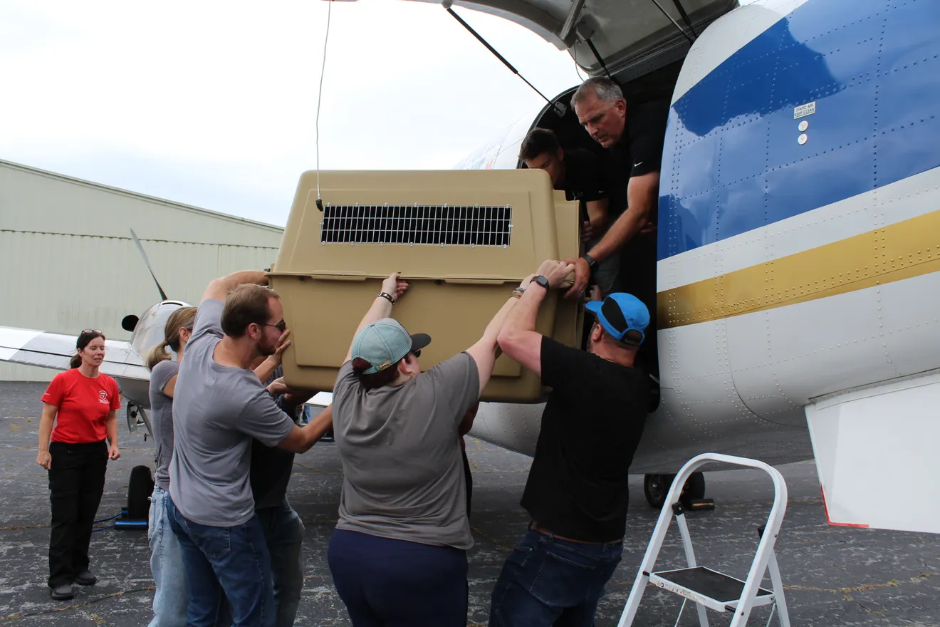 Aheville Humane Volunteers Load Animlas onto Plane