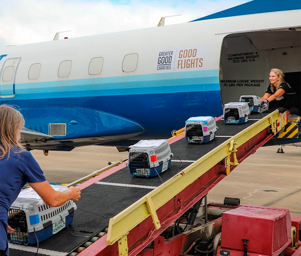 Rescued animals being loaded on Greater Good Charities flight