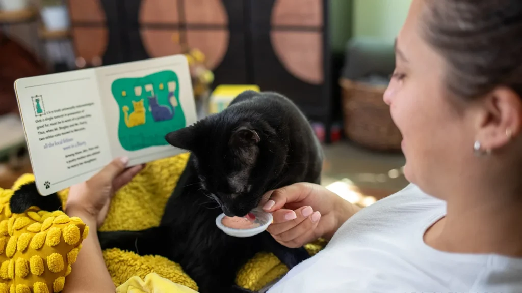 TEMPTATIONS™ Spoons Out Story-and-Snack Combo of ‘Kitterary’ Classics with a Side of Treats