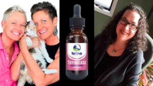 Team of Cat Experts Unveil ThyroEase Herbal Remedy for Feline Hyperthyroidism