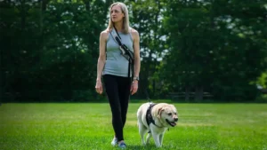 From Struggles to Solutions: How One Moment of Compassion is Sparking a Dog Walking Revolution
