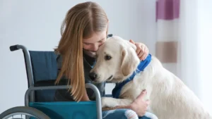 Young girl in wheelchair hugging her service dog