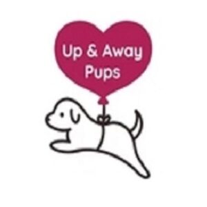 Profile photo of upandawaypups