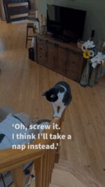 contemplating-the-stair-rail-challenge