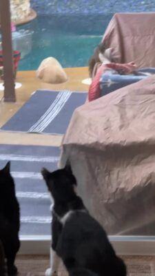 13efac11cdbe4a3c9640d650a0178fec